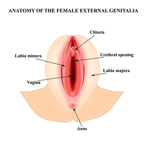 Vaginal surgery